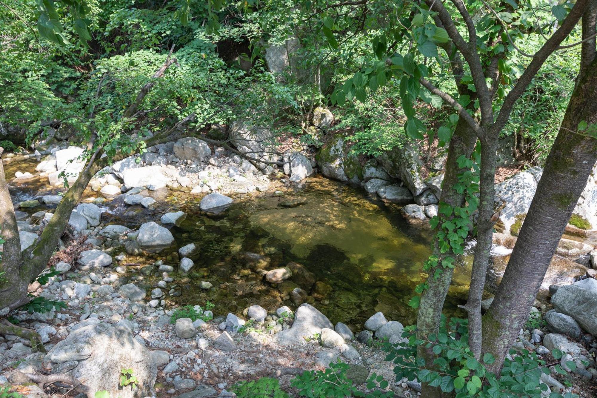 Gangneung Yasaenghwa Maeul Ξενοδοχείο Εξωτερικό φωτογραφία